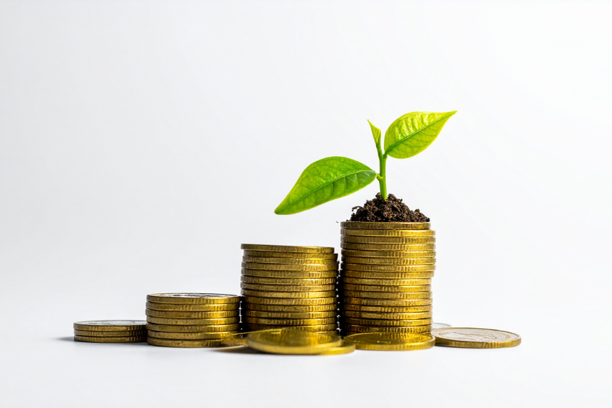 money growing