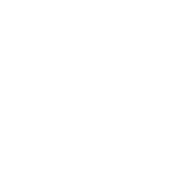 house icon